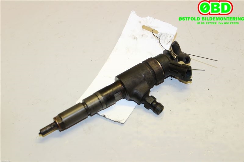 Dyse innsprøyting diesel til Peugeot 207 2006-2012 (PEUGEOT|1980K2|0445110252|)