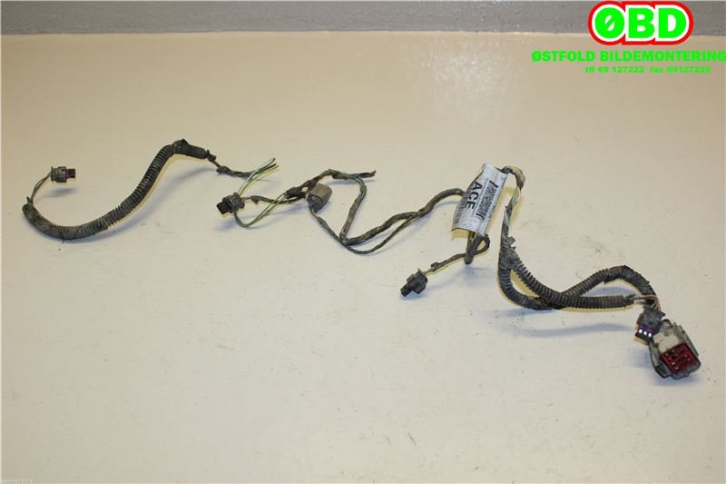 Ledningsnett til Ford C-Max, 2010-2015 (Type II, Fase 1)  (FORD|1744442)
