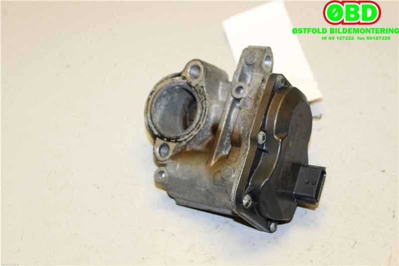 EGR-ventil til Nissan Qashqai 2010-2014 (Type I, Fase 2) (NISSAN|147100789R|8201068965)