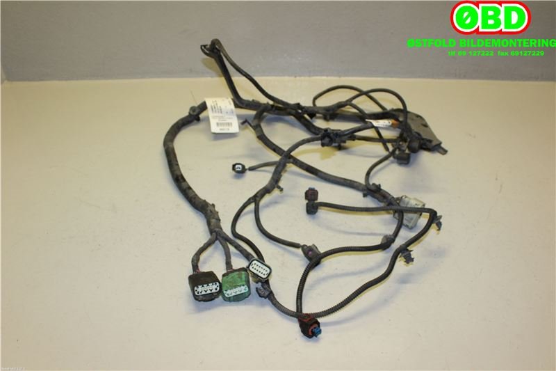 Ledningsnett til Tesla Model S 2016-2021 (Fase 2)  (TESLA|100443006S|)