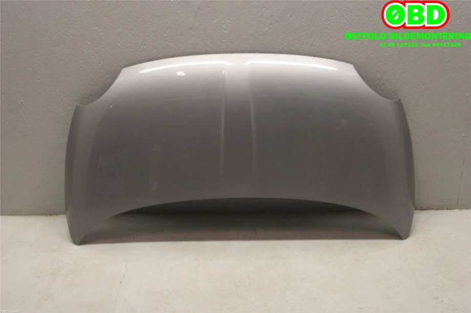 Panser til Fiat 500 2008-2020 (FIAT|)