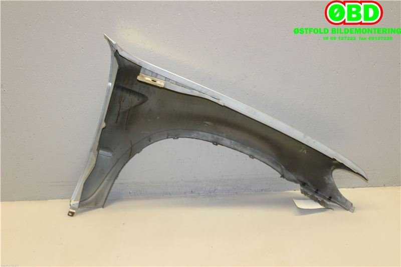 Skjerm venstre foran til BMW X5 2000-2006 (E53) (E53)