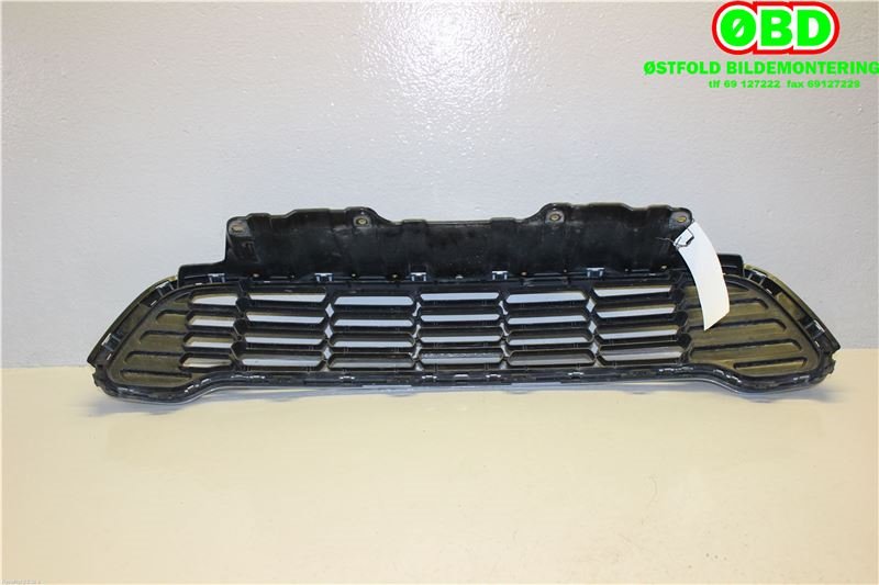 Grill til Mini Countryman 2010-2016 (R60) (R60) (MINI|51 13 9 807 476|)