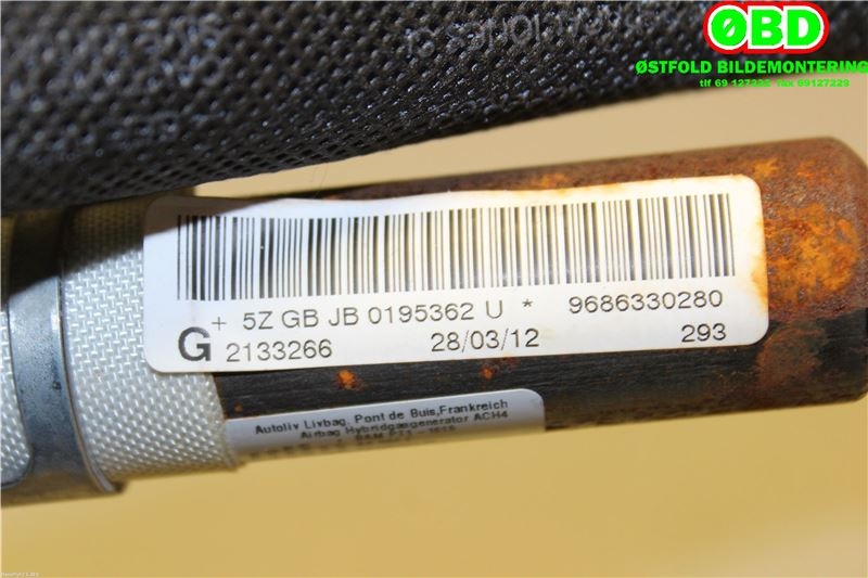 Airbag gardin venstre til Peugeot 508 2011-2014 (Type I, Fase 1)  (PEUGEOT|8338GQ||9686330280)