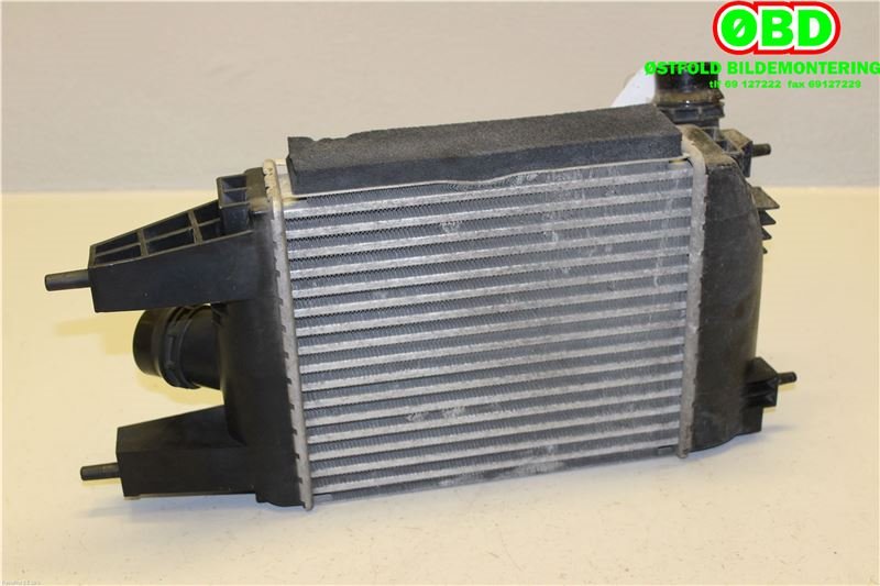 Intercooler til Nissan Juke 2014-2018 (Fase 2)  (NISSAN|144613ZU0B|)