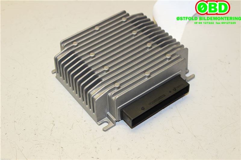Bilstereo forsterker til Tesla Model S, 2013-2016 (Fase 1)  (TESLA|100483310A)