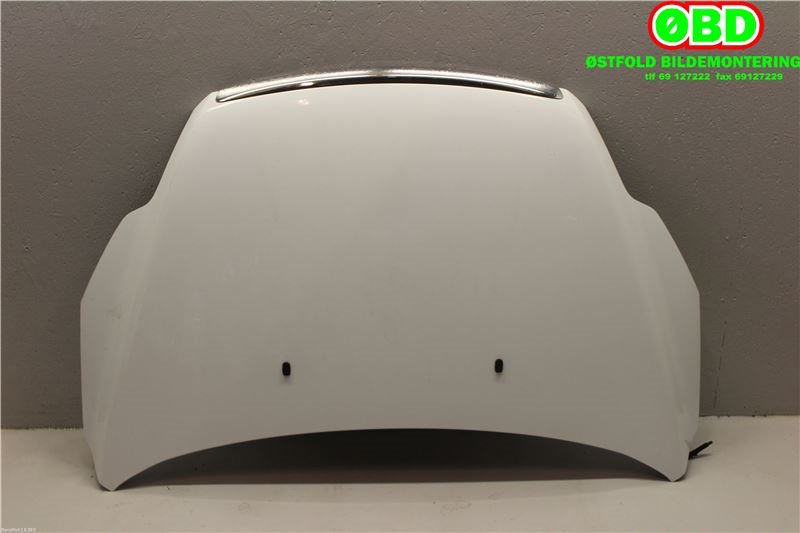 Panser til Ford Focus 2008-2010 (Type II, Fase 2) (FORD|1521601|)