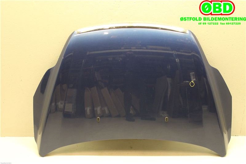 Panser til Ford Focus 2008-2010 (Type II, Fase 2) (FORD|1521601|)