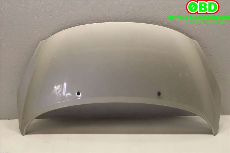 Panser til Peugeot 207 2006-2012 (PEUGEOT|7901 N2|)