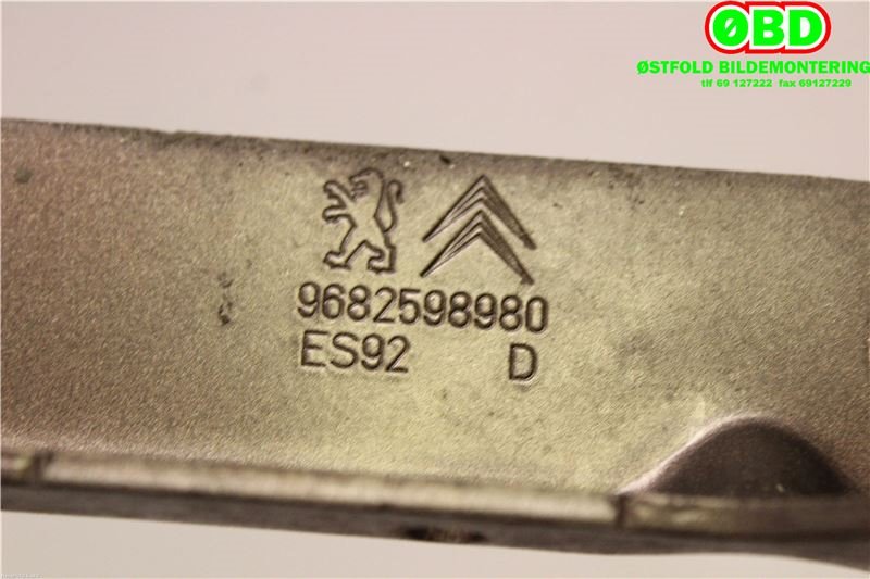 Panserhengsler til Peugeot 3008 2009-2016 (Type I)  (PEUGEOT|7913 47|)