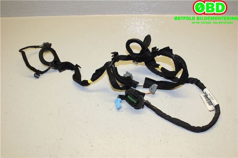 Ledningsnett til Volvo V40 2012-2019 (VOLVO|31313719||31313719AG)