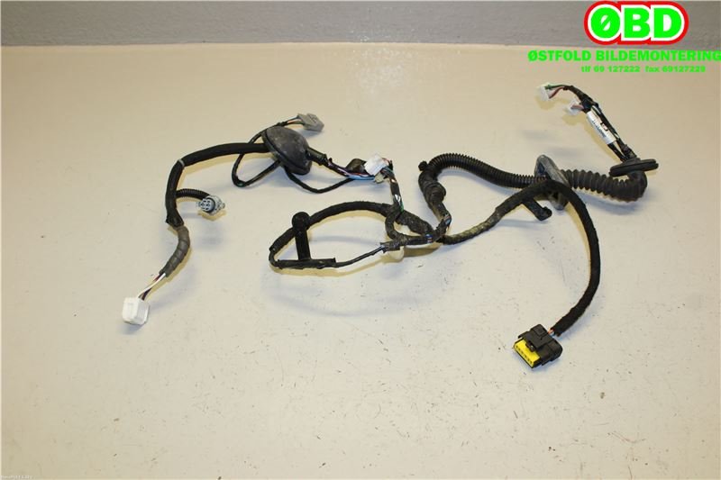 Ledningsnett til Nissan Qashqai 2007-2010 (Type I, Fase 1) (NISSAN|24125JD06C|)