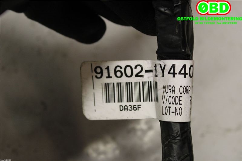 Ledningsnett til Kia Picanto 2011-2017 (Type II) (KIA|916021Y440|)