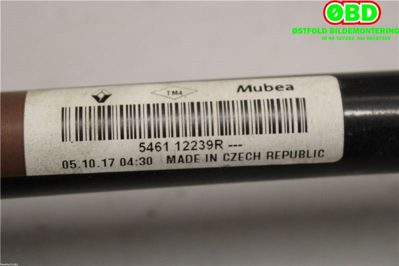 Stabilisatorstag foran til Renault Clio 2016-2019 (Type IV, Fase 2) (RENAULT|546112239R|)
