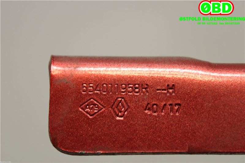Panserhengsler til Renault Clio 2016-2019 (Type IV, Fase 2)  (RENAULT|654010257R||654011958R)