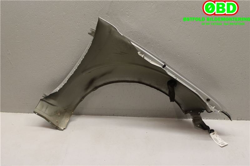 Skjerm venstre foran til Nissan Navara 2005-2010 (Fase 1) (D40) (D40) (NISSAN|F31014X0MA|)
