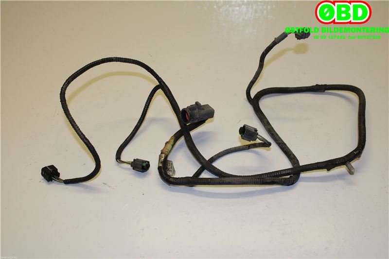 Ledningsnett til Ford Expedition 2003-2006 (FORD (US)|)