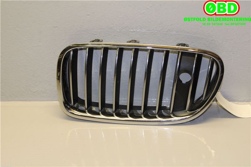 Grill venstre til BMW 5-Serie 2010-2017 (F10/F11) (F10/F11)