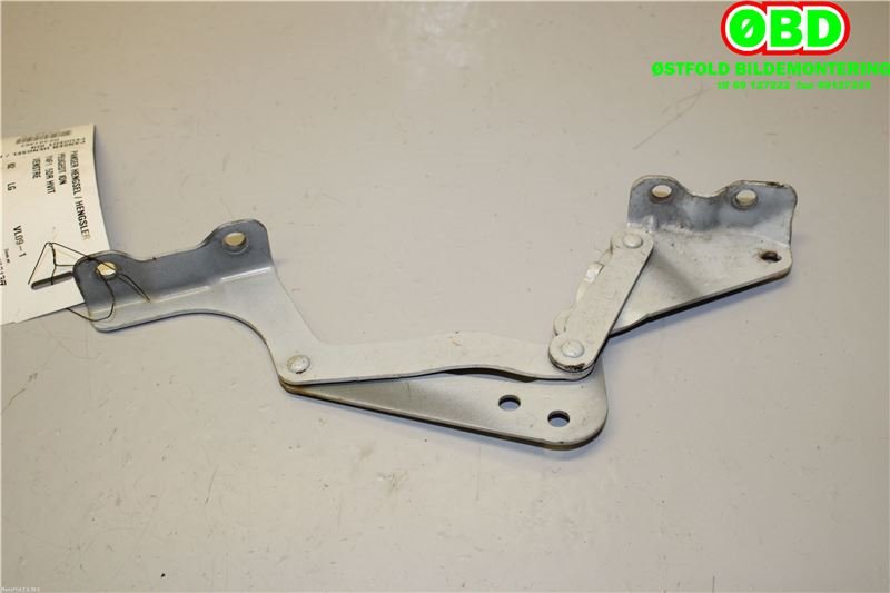 Panserhengsler til Peugeot iOn 2011-2020 (PEUGEOT|7912 HG|16 101 908 80|)