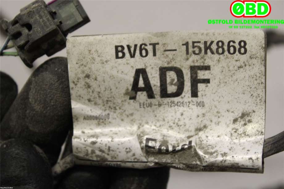 Ledningsnett til Ford Focus 2011-2014 (Type III, Fase 1) (FORD|1788240||BV6T15K868ADF)