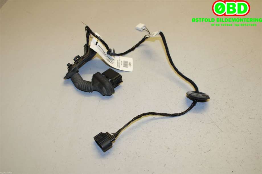 Ledningsnett til Ford Fiesta 2013-2017 (Type VI, Fase 2) (FORD|2008900||C1BT14240ACF)