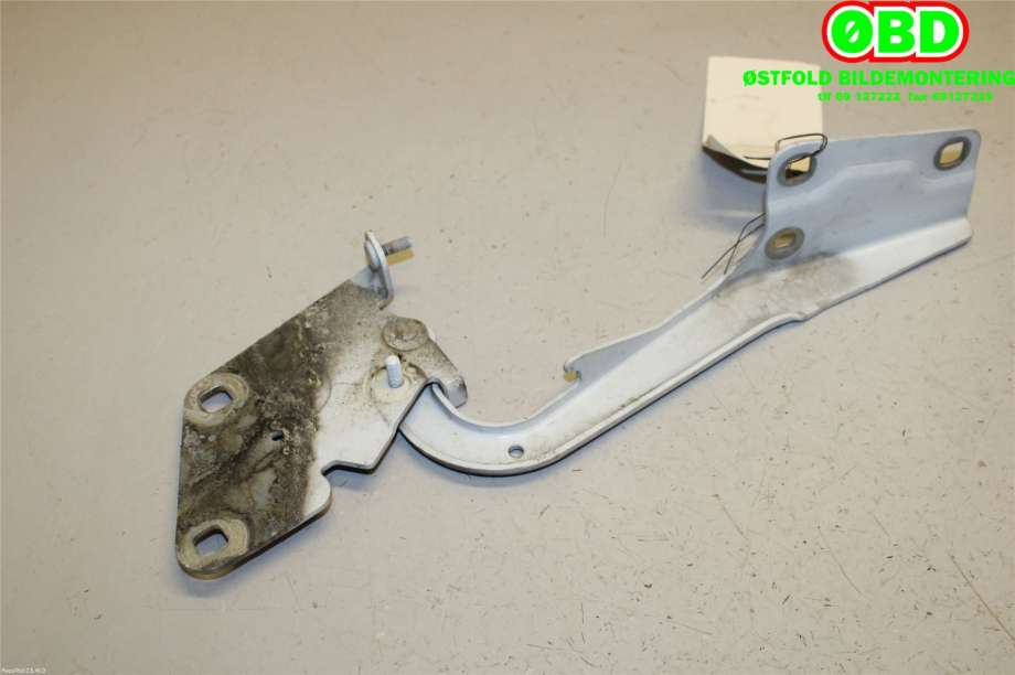 Panserhengsler til Renault Fluence Z.E 2011-2014 (RENAULT|654010016R||654010016RA)