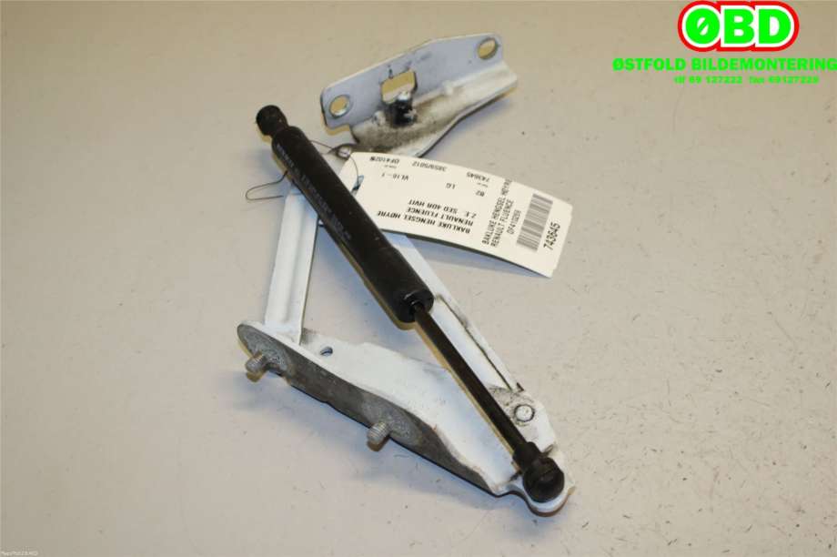 Hengsler til Renault Fluence Z.E 2011-2014  (RENAULT|844006321R|)