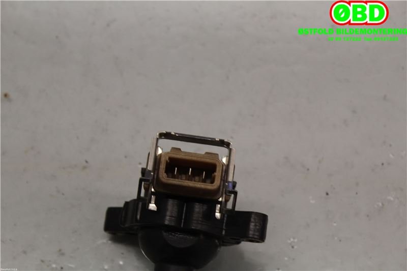 Coil elektronisk til BMW 5-Serie 1996-2003 (E39) (E39) (BMW 520 I|12 13 7 599 219||1748018)