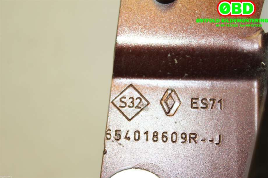 Panserhengsler til Renault Zoe 2013-2019 (Fase 1)  (RENAULT|654018609R|654015966R)