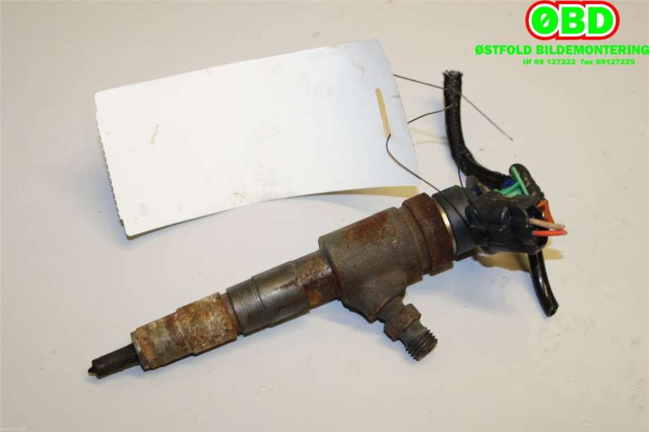 Dyse innsprøyting diesel til Peugeot Expert 2016-->> (Type III) (PEUGEOT|98 027 766 80|0445110566|)