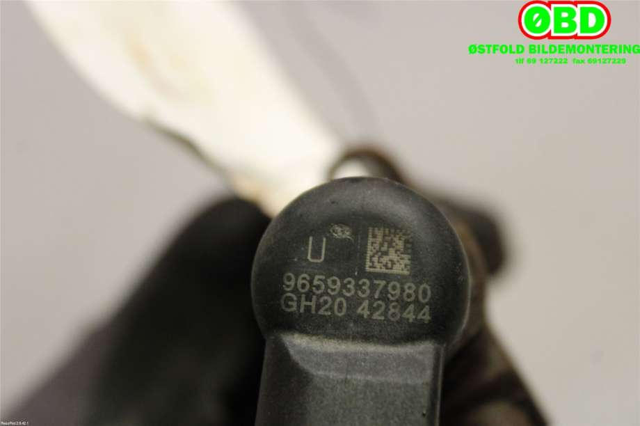 Dyse innsprøyting diesel til Peugeot Expert 2007-2016 (Type II)  (PEUGEOT|1980K5||9659337980)