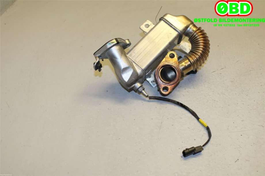 EGR-kjøler til Nissan Qashqai 2014-2021 (Type II)  (NISSAN|1473500QAN|)