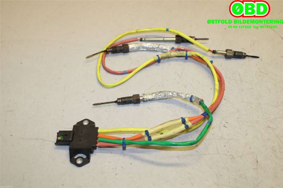 Diverse deler til Nissan Qashqai 2014-2021 (Type II) (NISSAN||226585185R)