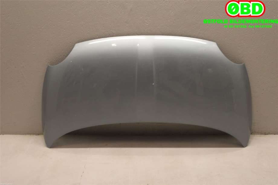 Panser til Fiat 500 2008-2020 (FIAT|)