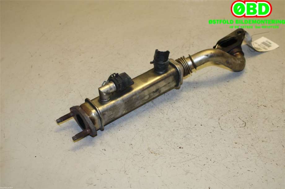 EGR-kjøler til Nissan X-Trail 2002-2007 (T30) (T30) (NISSAN|147358H801|)