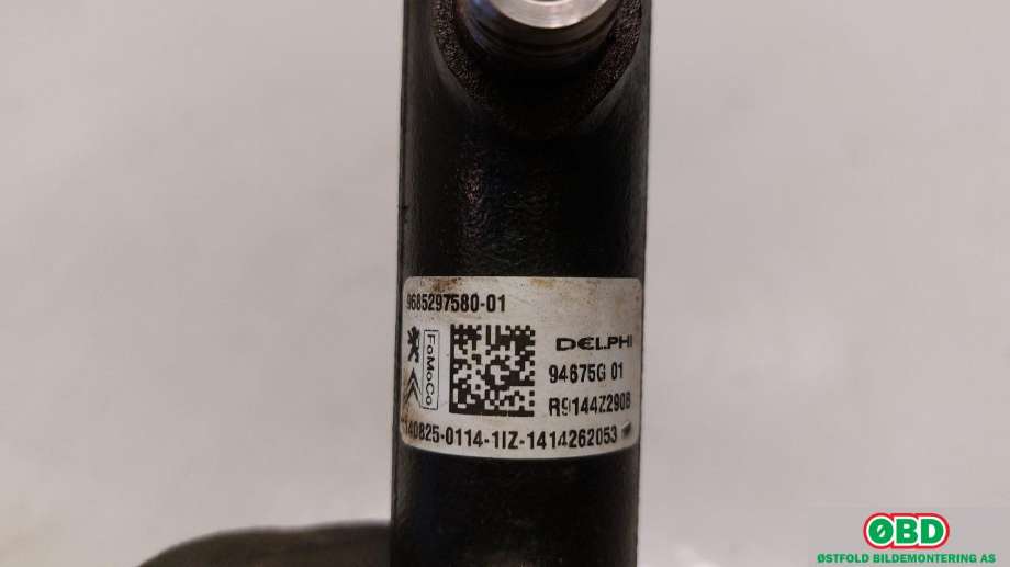Dyseskinne (fuelrail) til Peugeot Partner 2008-2015 (Type II, Fase 1)  (PEUGEOT|1570 Q4||9685297580)