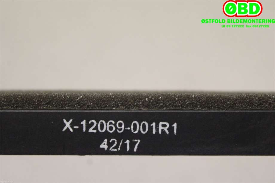 Sensor diverse til Tesla Model S 2016-2021 (Fase 2)  (TESLA|X12069001R1|)
