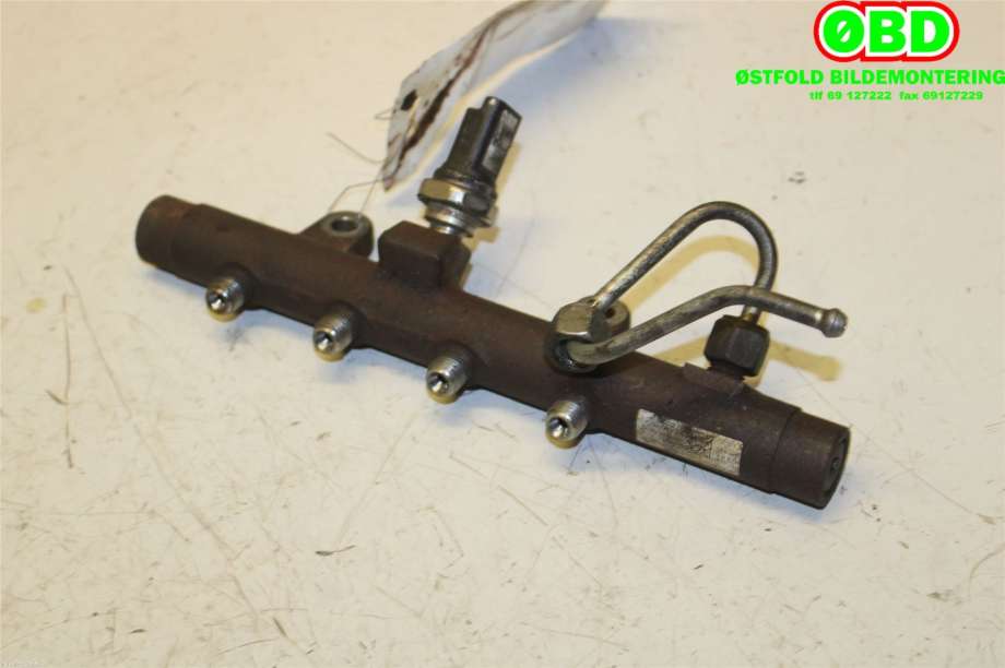 Dyseskinne (fuelrail) til Nissan Qashqai 2010-2014 (Type I, Fase 2) (NISSAN||8200704212)