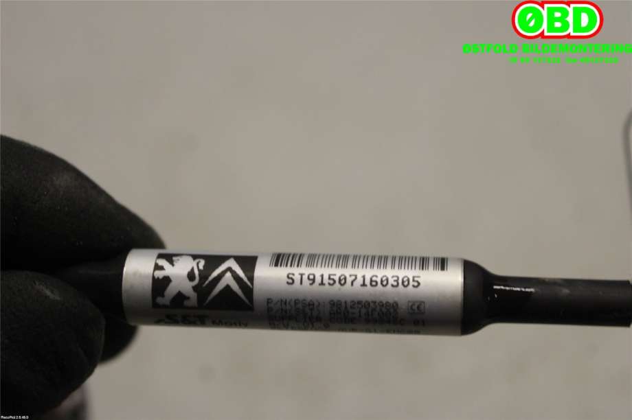 Kamera til Peugeot 308 2013-2021 (Type II)  (PEUGEOT|9812503980|)