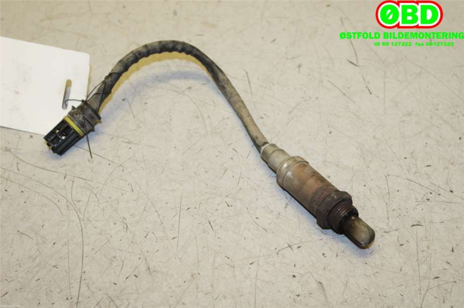 Sensor diverse til BMW X5 2000-2006 (E53) (E53) (BMW|)