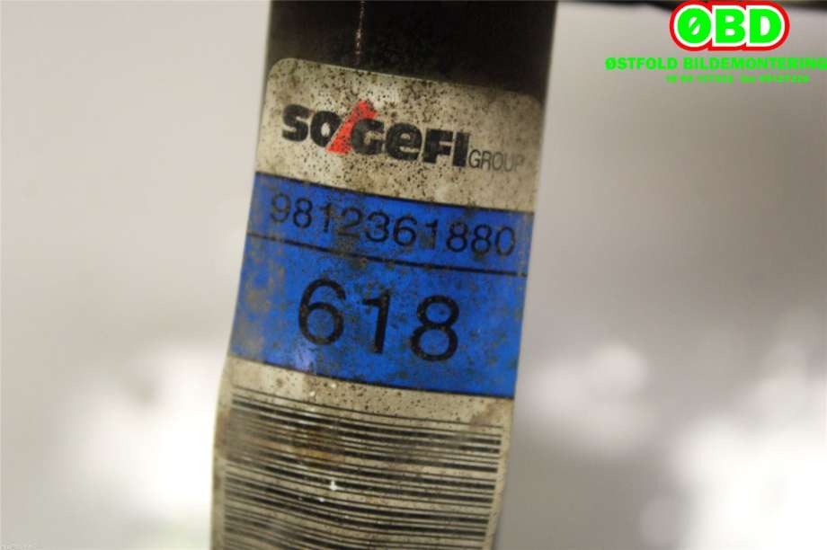 Stabilisatorstag foran til Peugeot 5008 2017-->> (Type II)  (PEUGEOT|9812361880|)