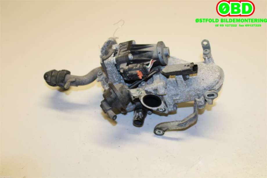 EGR-ventil til Peugeot 3008 2009-2016 (Type I)  (PEUGEOT|1618LN|)