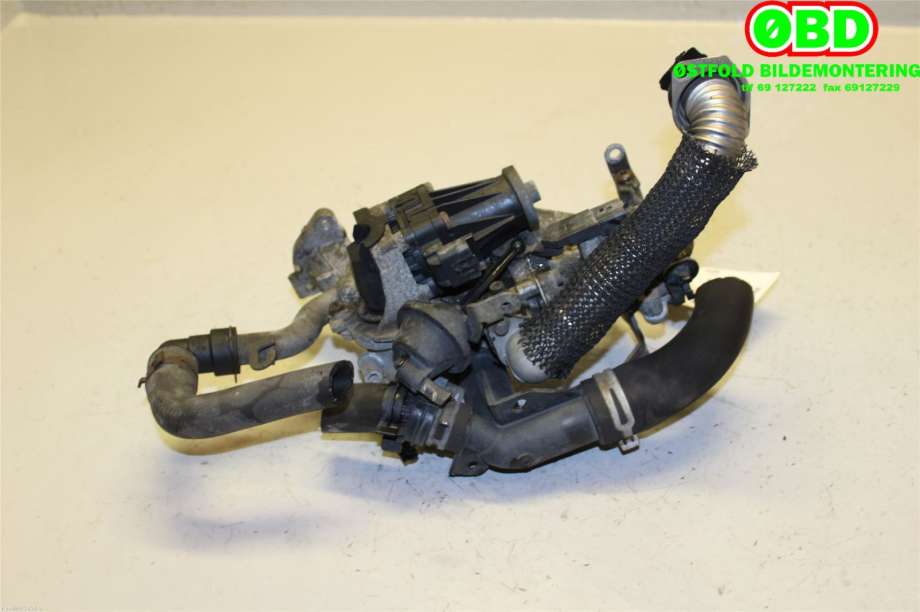 EGR-ventil til Ford Focus 2011-2014 (Type III, Fase 1)  (FORD|1702178|)