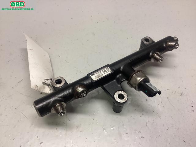 Dyseskinne (fuelrail) til Ford Focus 2011-2014 (Type III, Fase 1) (FORD|1841279||9681909680)
