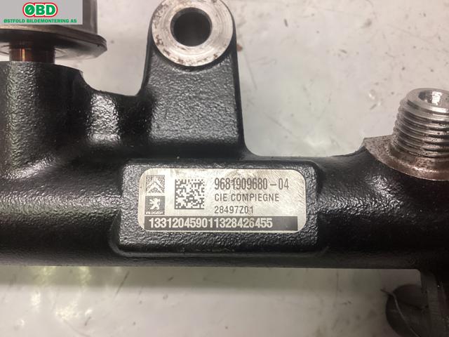 Dyseskinne (fuelrail) til Ford Focus 2011-2014 (Type III, Fase 1) (FORD|1841279||9681909680)