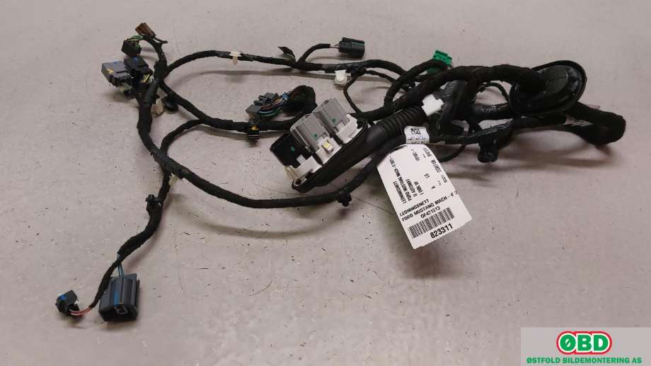 Ledningsnett til Ford Mustang Mach-e 2020-->> (FORD|2601343||LJ8T14631NCF)