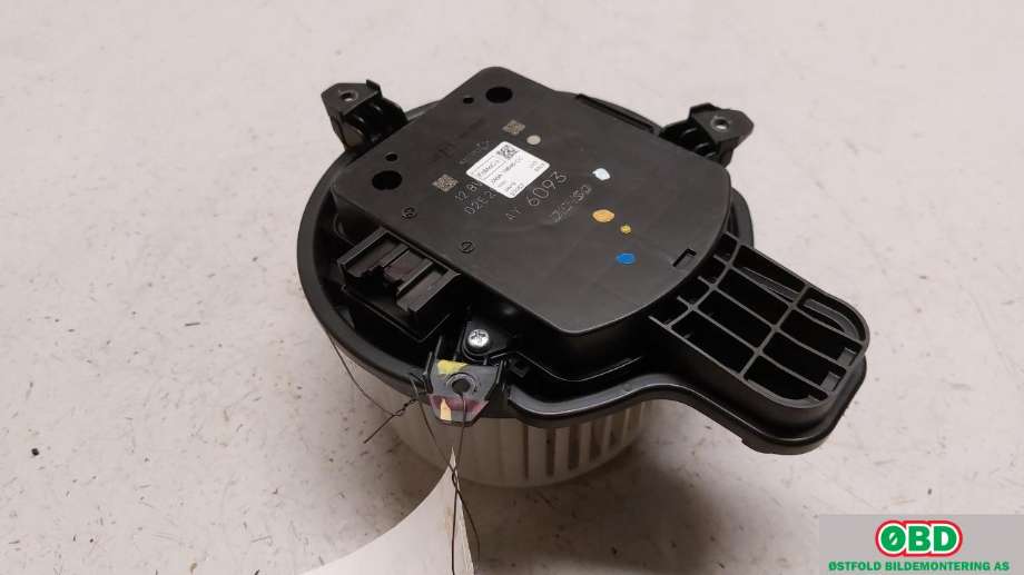 Varmeapparat motor til Ford Mustang Mach-e 2020-->>  (2482519||JX6A19846CC)