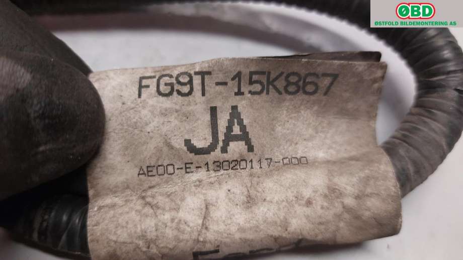 Ledningsnett til Ford Mondeo 2014-2019 (Type V, Fase 1)  (FORD|2012010||FG9T15K867)