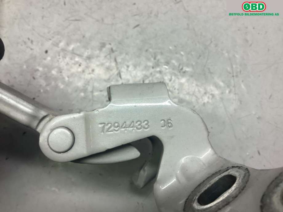 Hengsler til BMW X5 2013-2018 (F15) (F15) (BMW|41 00 7 378 127|)