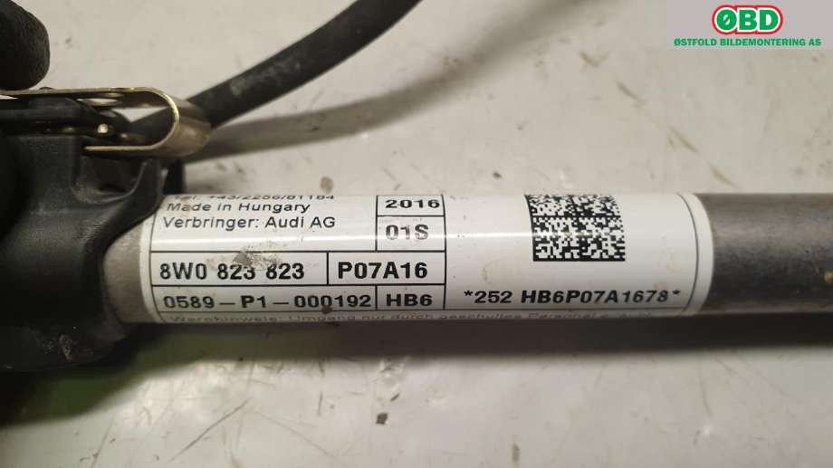Panserhengsler til Audi A4 2015-2019 (Type V, Fase 1) (B9) (B9) (AUDI|8W0 823 823|)